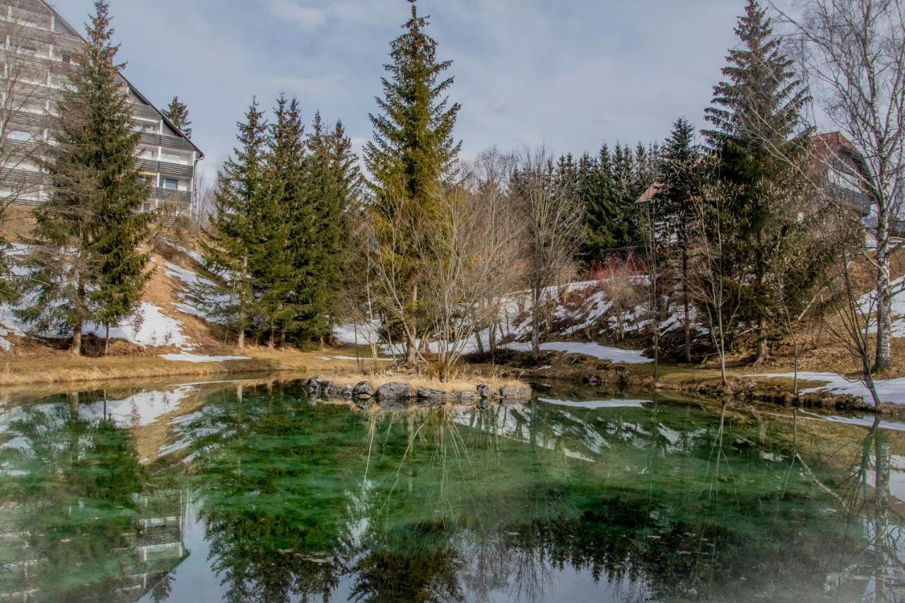 Ferienhaus Fux Bad Mitterndorf Kültér fotó